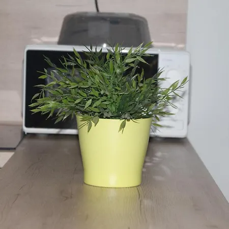 Alma Lejlighed Telde