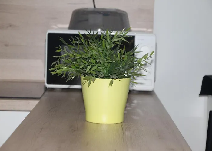 Alma Apartman Telde